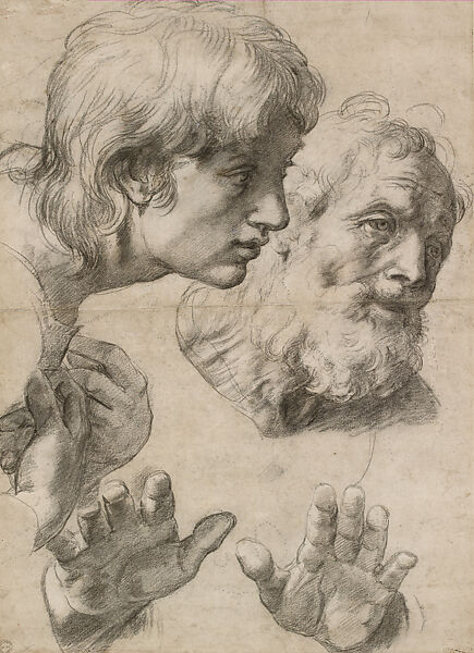 Heads and Hands of Two Apostles (“Auxiliary Cartoon” for the Transfiguration), Raphael (Raffaello Sanzio or Santi)  Italian, Black chalk drawn freehand over pounce marks (spolvero underdrawing),  traces of white gouache highlights, on laid paper