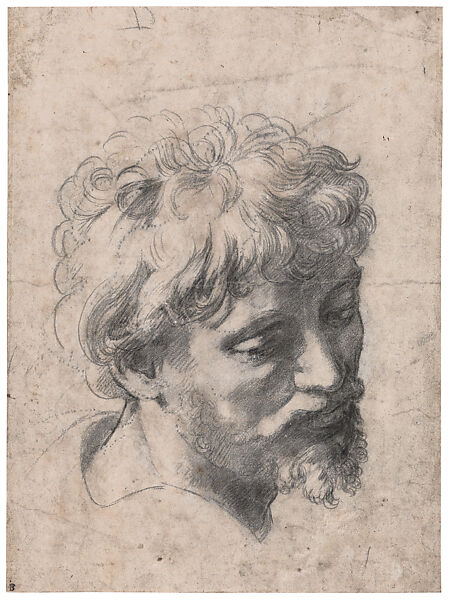 The Head of an Apostle (“Auxiliary Cartoon” for the Transfiguration), Raphael (Raffaello Sanzio or Santi)  Italian, Black chalk, drawn freehand over pounce marks (spolvero underdrawing)