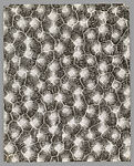 [Fabric Design]