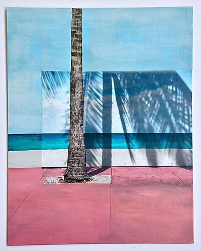 Palm Shadows
