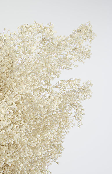 Ensemble, Noir Kei Ninomiya (Japanese, founded 2013), (a) polyurethane, polystyrene, polyethylene, metal; (b, c) leather, cotton, polyester, Japanese