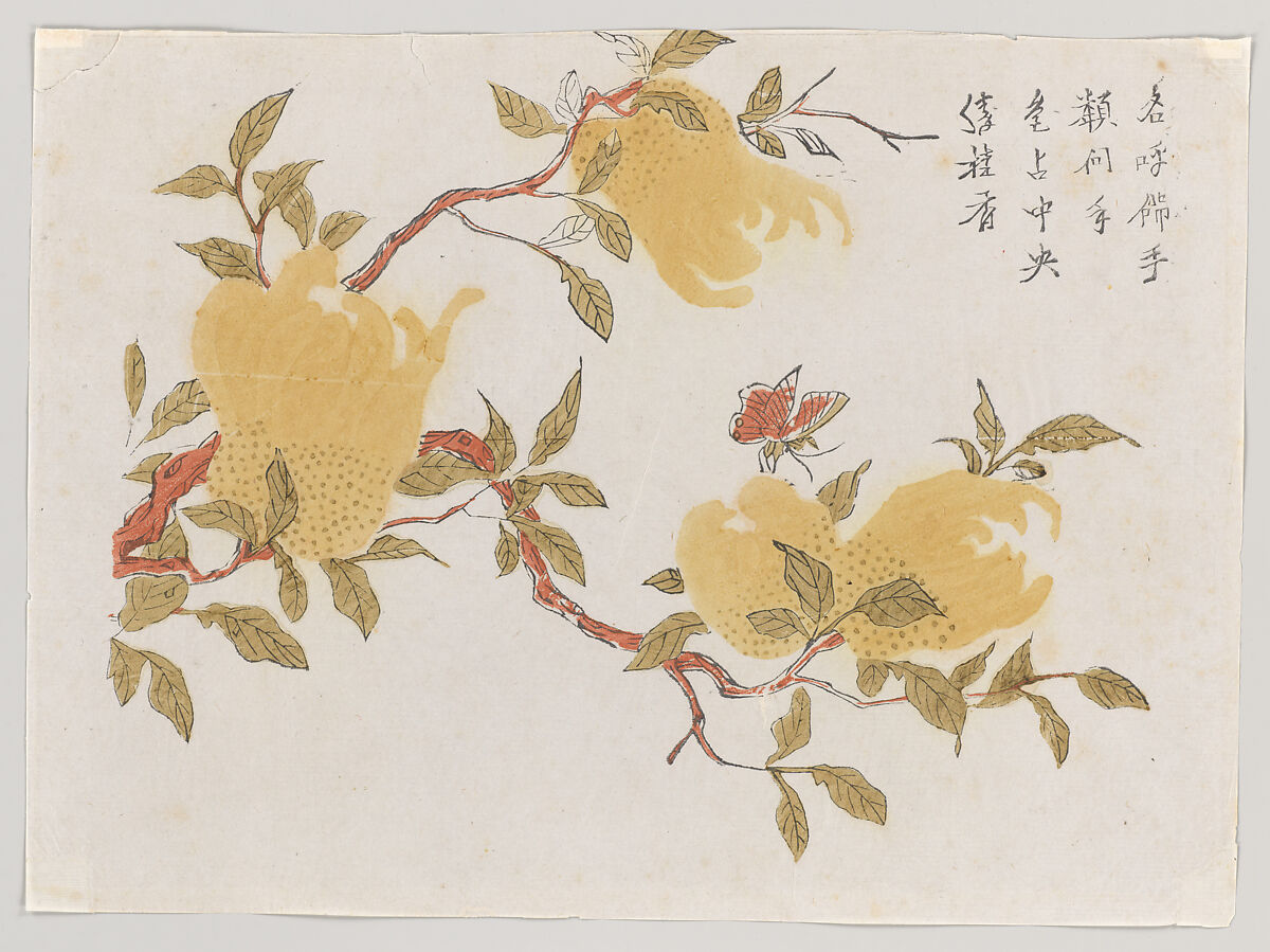 Butterfly on Buddha's Hand Citron, Polychrome woodblock print; ink and color on paper, China 