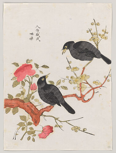 Mynah Birds