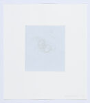 hair there and every where, Mona Hatoum (British-Palestinian, born Beirut, Lebanon 1952), Etching with chine collé
