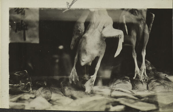 [New York Album: Ducks in a Window], Berenice Abbott (American, Springfield, Ohio 1898–1991 Monson, Maine), Gelatin silver print 