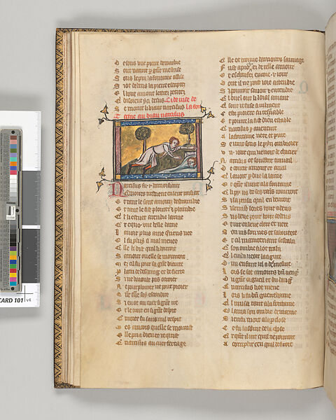 Roman de la Rose, Guillaume de Lorris  French, Tempera and ink on parchment, French