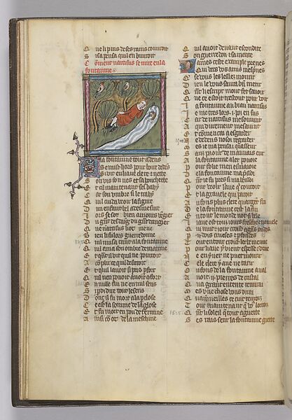 Roman de la Rose, Guillaume de Lorris  French, Tempera and ink on parchment, French