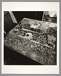 New York State, Lee Friedlander  American, Gelatin silver print