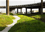 Louisiana (Cat Man), Paul Graham (British, born 1956), Inkjet prints