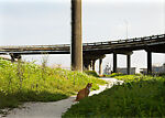 Louisiana (Cat Man), Paul Graham (British, born 1956), Inkjet prints