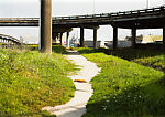 Louisiana (Cat Man), Paul Graham (British, born 1956), Inkjet prints