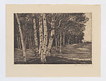 Birch Processional, Luigi Lucioni  American, Etching