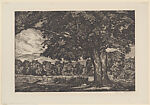The Spreading Maple, Luigi Lucioni  American, Etching