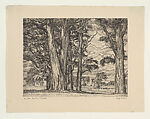 The Lake Through the Locusts, Luigi Lucioni  American, Etching