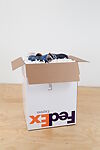 No Vacation Days (FedEx Worker’s Foot with Nike Sneaker)
