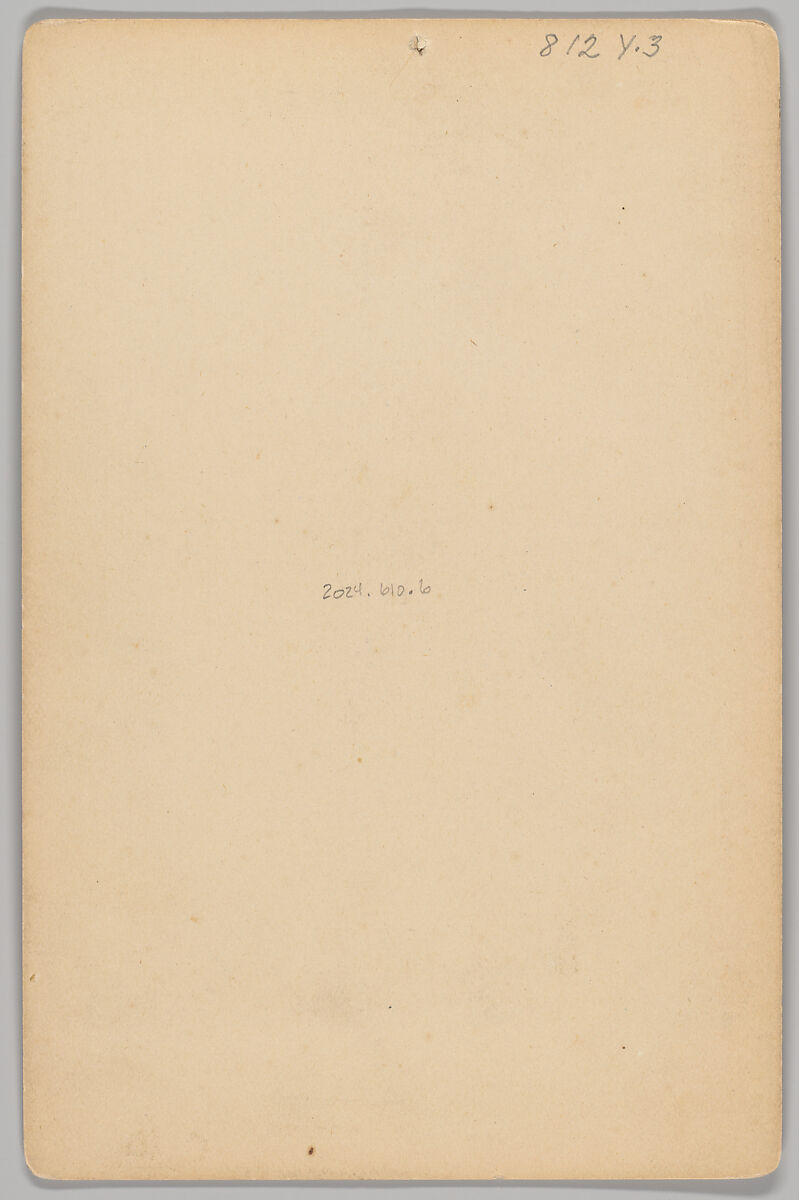 [Merchants' Carnival Portrait: Dry Goods Purveyor, Beaver Dam and Horicon, Wisconsin], George W. Horton (American, active 1880s–90s), Albumen silver print