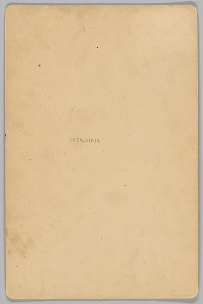 [Merchants' Carnival Portrait: Bradley & Son Butchers, Princeton, Illinois], A. W. Huntington (American, 1851–1929), Gelatin silver print