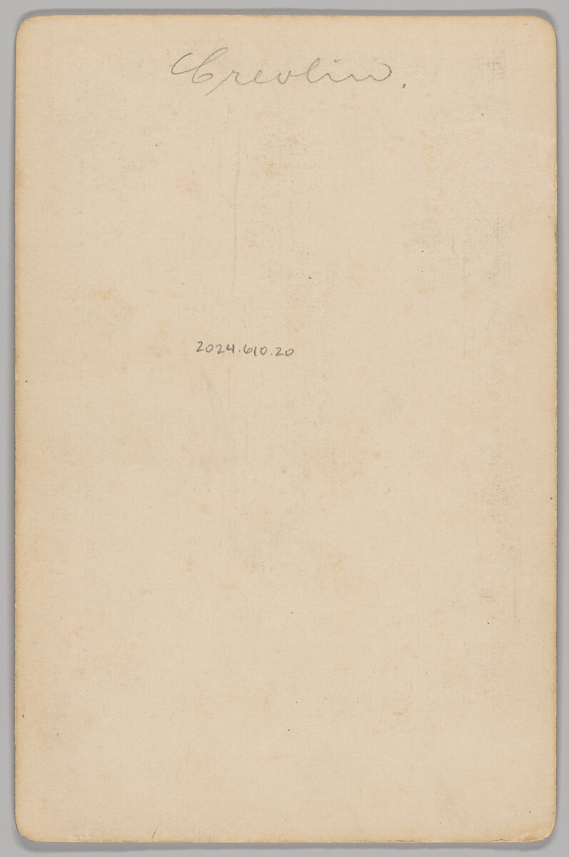 [Merchants' Carnival Portrait: Congress of Beauty, Chicago, Illinois], Robinson and Roe (American, active 1877–98), Gelatin silver print