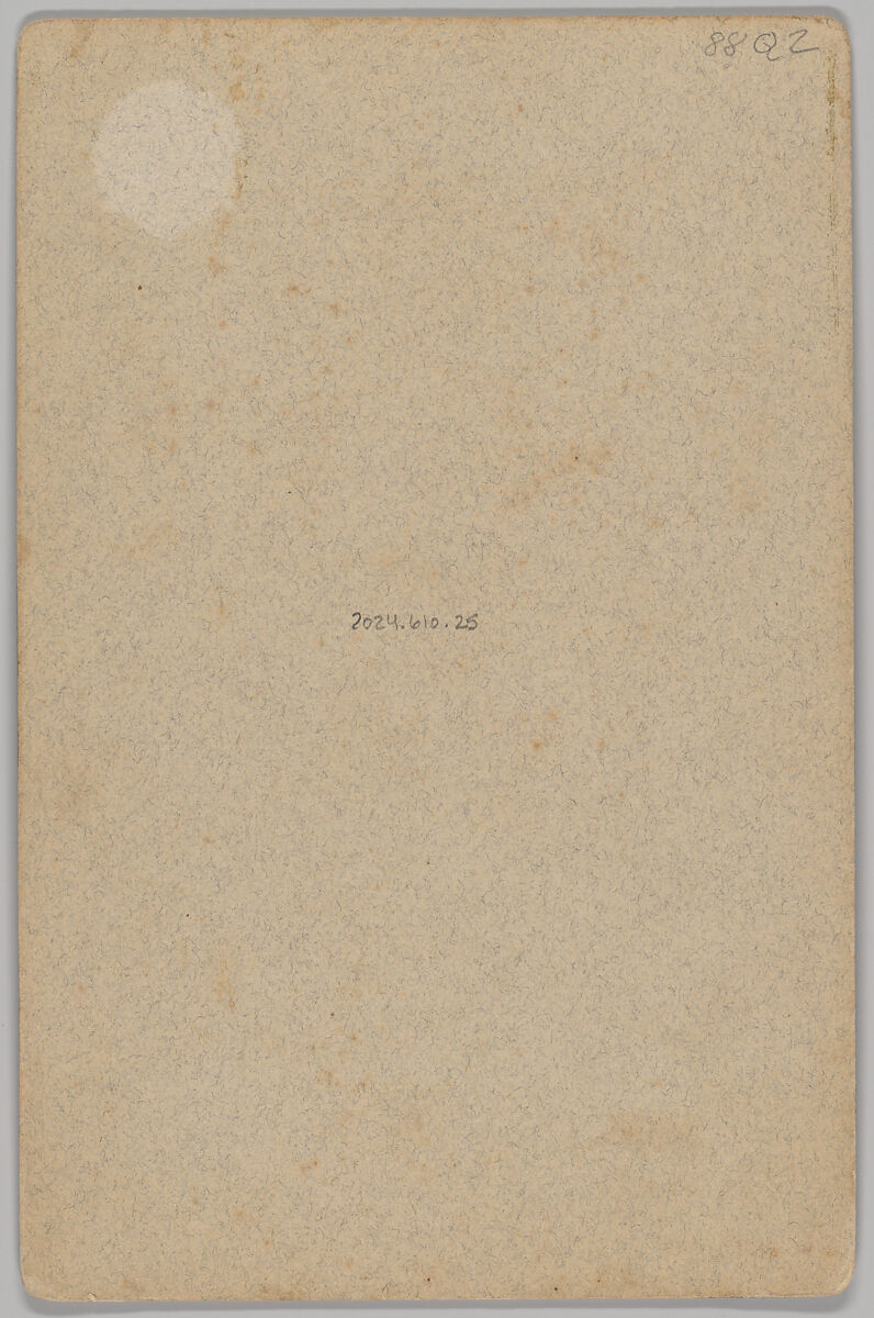 [Merchants' Carnival Portrait: Newt Jones Livery Feed Stable, Independence, Oregon], William H. Whiteaker (American, 1880s–1890s), Albumen silver print