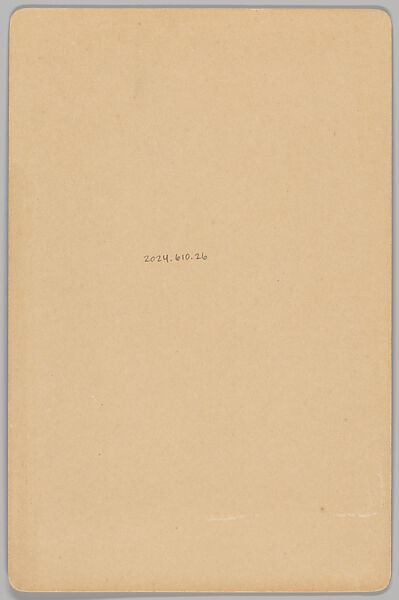 [Merchants' Carnival Portrait: J. Andersen Farm Implements, Windom, Minnesota], Benjamin Peters Skewis (American, 1860–1946), Gelatin silver print