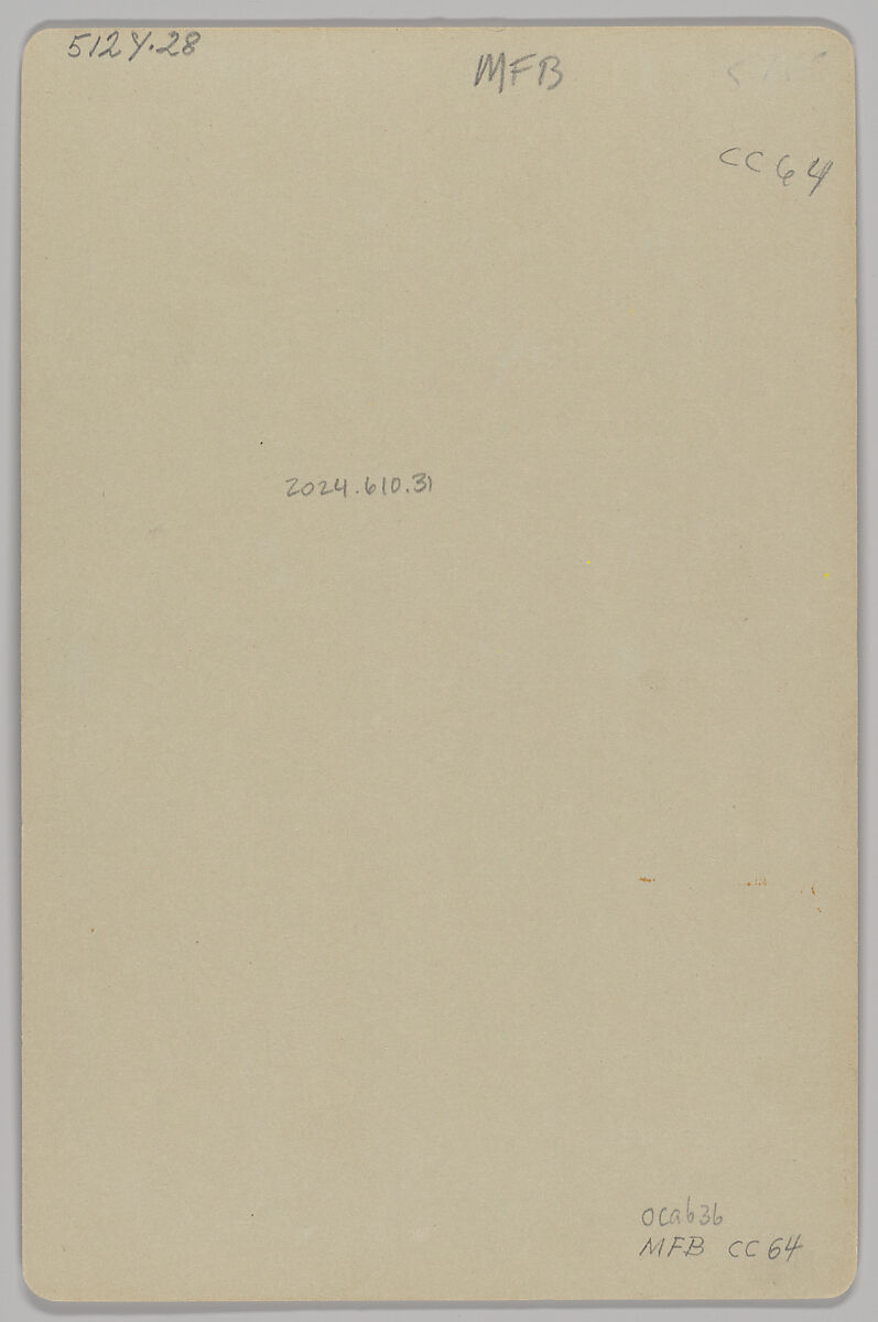 [Merchants' Carnival Portrait: F. P. Diehl Horseshoer & Black-Smith, Lehighton, Pennsylvania], W. D. Rishel (American, active 1880s–1890s), Gelatin silver print