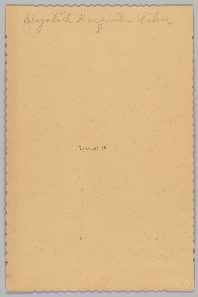 [Merchants' Carnival Portrait: Mahler Bros Harness, Grafton, North Dakota], Ball &amp; Rindahl (American, active 1890s), Albumen silver print