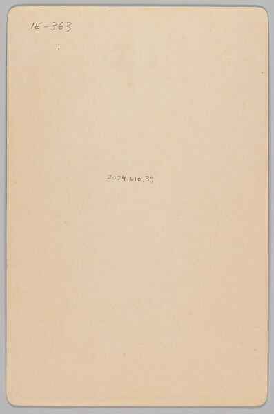 [Merchants' Carnival Portrait: with Horse Appliques on Dress, Walla Walla, Washington], Charles Thomas Maxwell (American, 1865–1933), Gelatin silver print