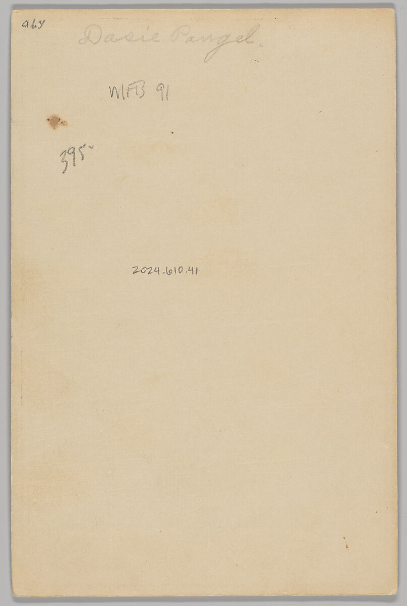 [Merchants' Carnival Portrait: Columbus Grove Woolen Mills, Columbus Grove, Ohio], H. J. Pursell (American, active 1880s–90s), Gelatin silver print
