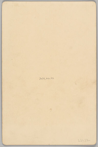 [Merchants' Carnival Portrait: C. B. Savage Wall Paper, Mason City, Iowa], Horace P. Kirk (American, 1843–1931), Albumen silver print