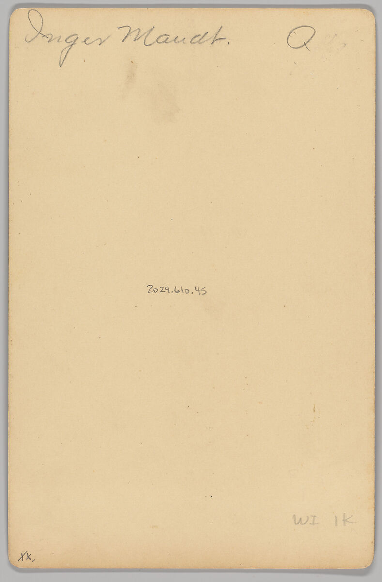 [Merchants' Carnival Portrait: Johnson and Melaas Gents Furnishing Goods, Stroughton, Wisconsin], William A. Fermann (American, 1839–1915), Albumen silver print