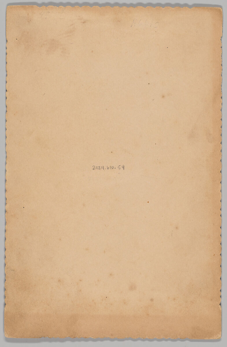 [Merchants' Carnival Portrait: Farmers Bank, Grand Junction, Iowa], George D. Thayer (American, 1847–1919), Albumen silver print