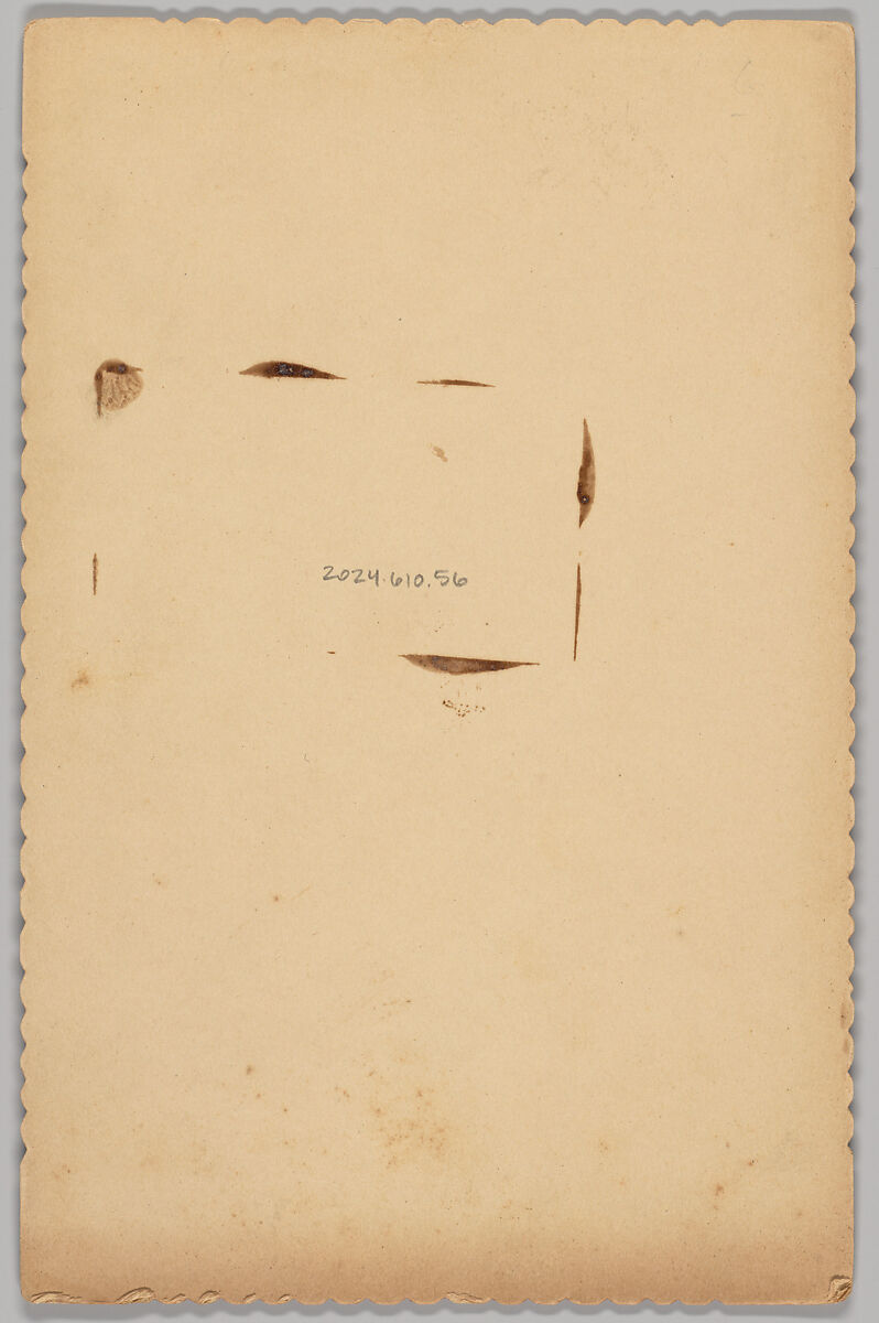 [Merchants' Carnival Portrait: L. B. Kelso Hardware, Saline, Missouri], Carpenter (American, active 1880s–90s), Gelatin silver print