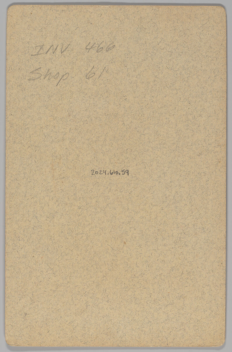 [Merchants' Carnival Portrait: Smilie Bros. Dealers in Lumber and Pomona Progress, Pomona, California], Denison &amp; Howard (American, active 1880s–90s), Albumen silver print