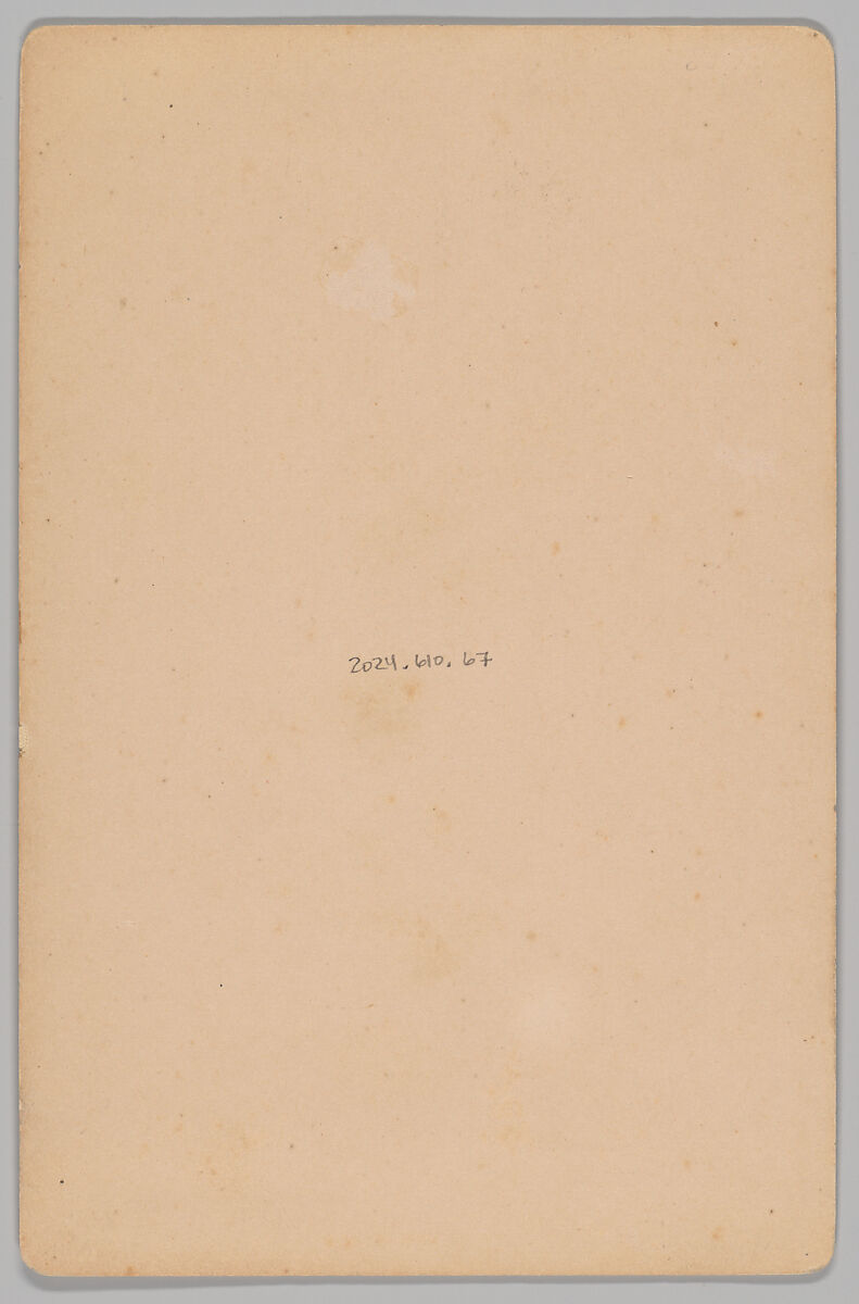 [Merchants' Carnival Portrait: B.A. Hopkins & Sons Champion Roller Mills, Sodus, New York], C. M. Tuttle (American, active 1880s–90s), Albumen silver print