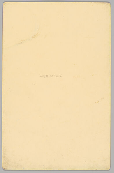 [Merchants' Carnival Portrait: Bradley & Son Butchers, Princeton, Illinois], A. W. Huntington (American, 1851–1929), Gelatin silver print