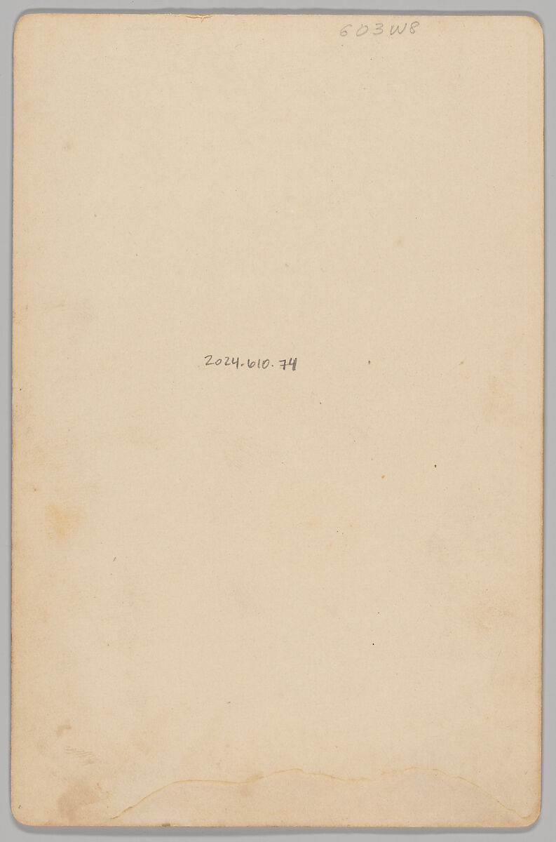 [Merchants' Carnival Portrait: Boroffs' Sons Feed & Grocers, St. Clairesville, Ohio], Nichols (American, active 1880s–1890s), Gelatin silver print