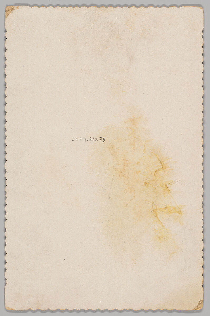 [Merchants' Carnival Portrait: Hackman & Co., Havana, Illinois], Clauser Bros. (American, active 1880s–90s), Gelatin silver print