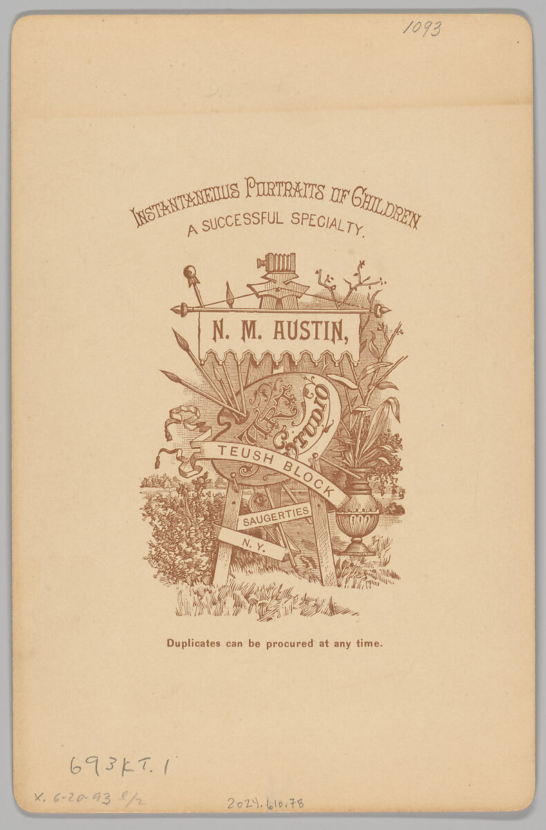 [Merchants' Carnival Portrait: Imperial Mill Co, Duluth, Minnesota], N. M. Austin (American, active 1880s–90s), Albumen silver print
