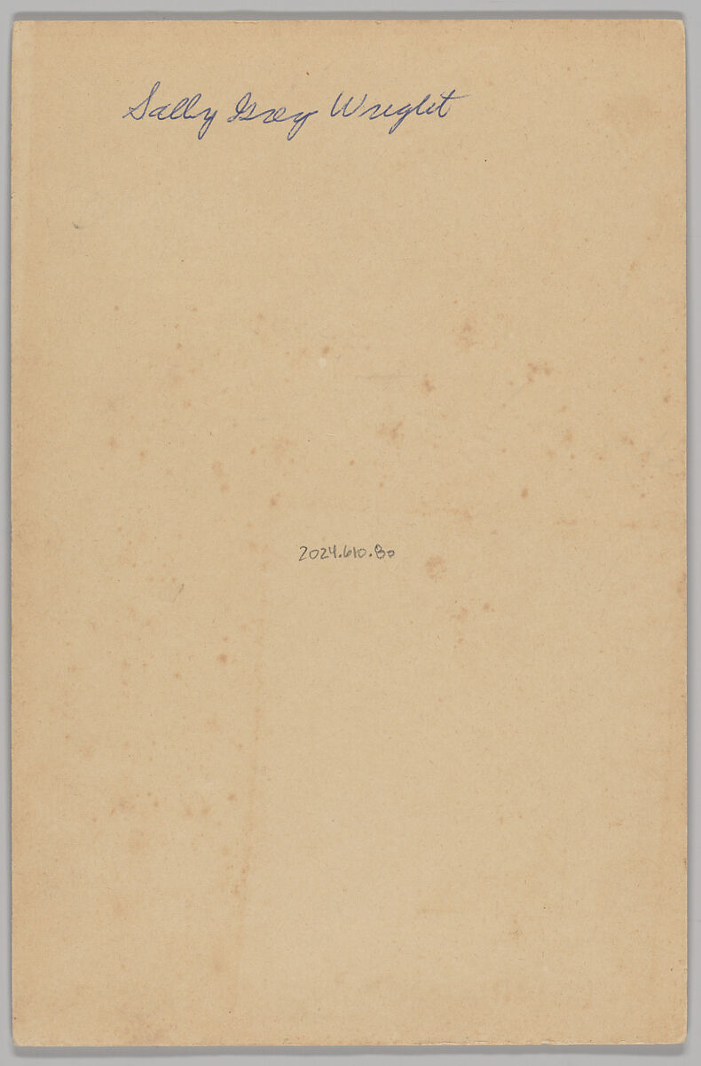 [Merchants' Carnival Portrait: Berwick Store Co. Ltd., Berwick, Pennsylvania], Fenstemaker (American, active 1880s–90s), Albumen silver print