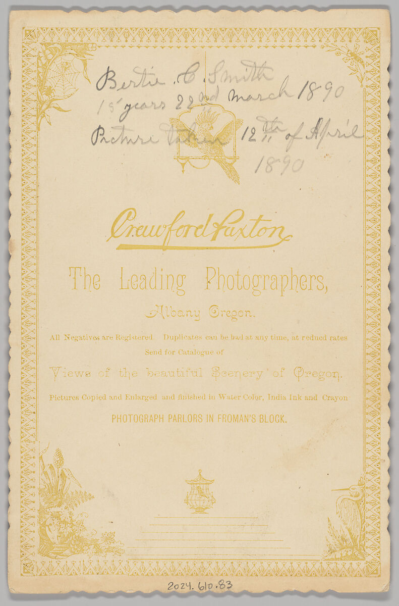 [Merchants' Carnival Portrait: G.W. Smith Stoves, Tinware, and Plumbing, Albany, Oregon], Crawford and Faxton (American, active 1890s), Albumen silver print