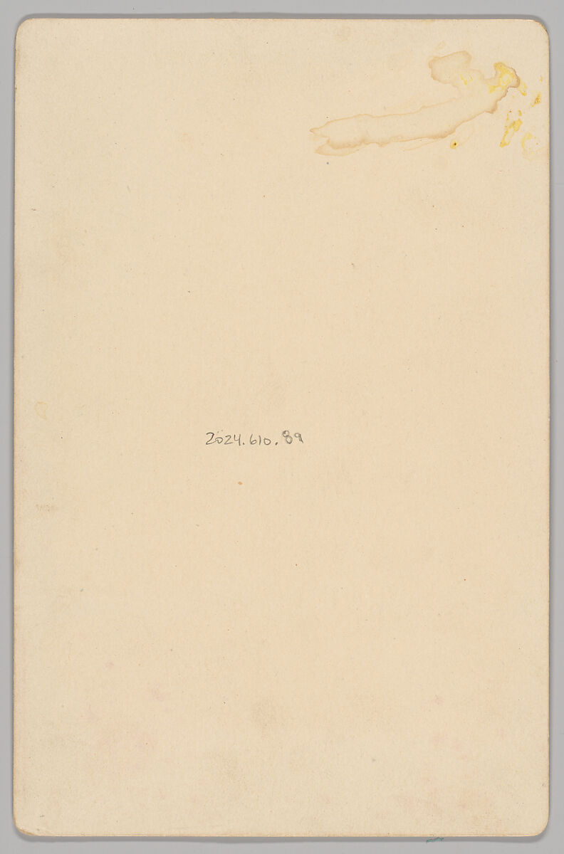 [Merchants' Carnival Portrait: Monson & Co. Furniture, Moline, Illinois], E. E. Mangold (American, active 1880s–90s), Albumen silver print