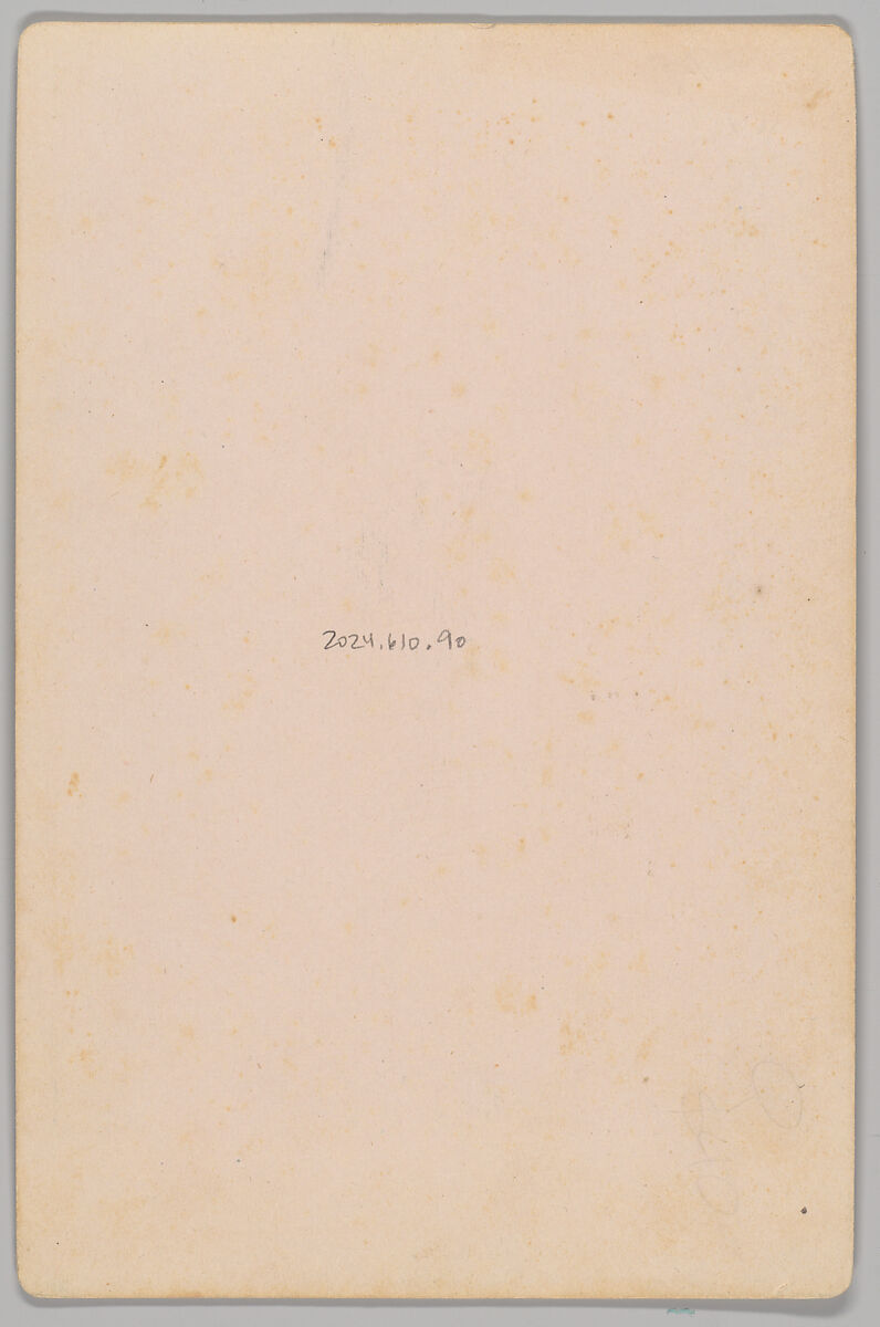 [Merchants' Carnival Portrait: Mrs. S.D. Bushnell Ladies Furnishing Goods, Moberly, Missouri], Devinney (American, active 1880s–90s), Albumen silver print