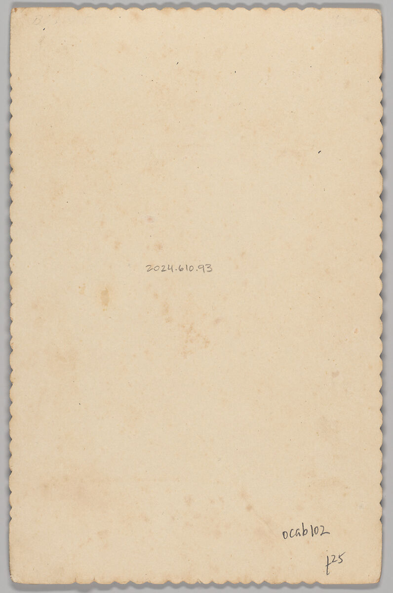 [Merchants' Carnival Portrait: M.R. Case & Sons Livery & Sale Stable, Belmond, Iowa], N. Nunnes (American, active 1880s–90s), Gelatin silver print