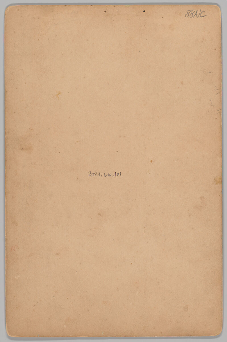 [Merchants' Carnival Portrait: John Arpin Lumber and Logs, Grand Rapids, Wisconson], E. L. Kromer  (American, active 1880s–90s), Albumen silver print