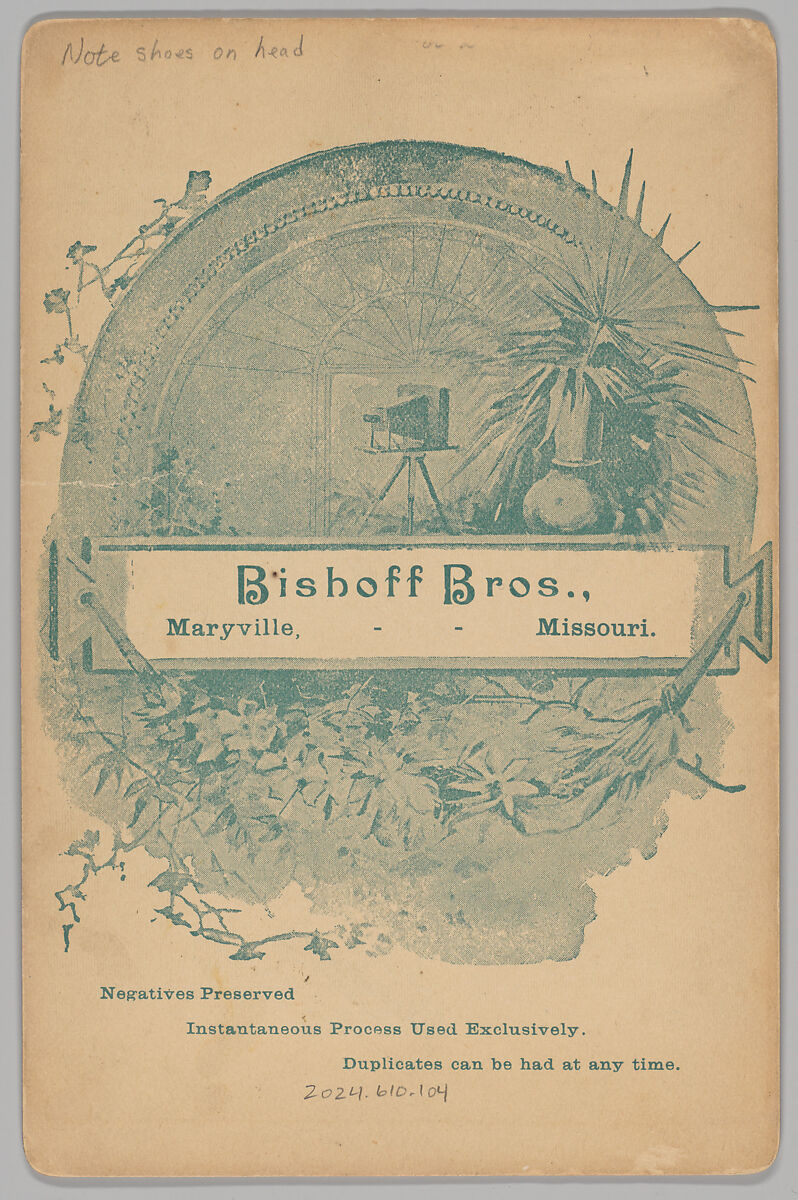 [Merchants' Carnival Portrait: Donnell Store, Marysville, Missouri], Bishoff Brothers (American, active 1880s–90s), Gelatin silver print