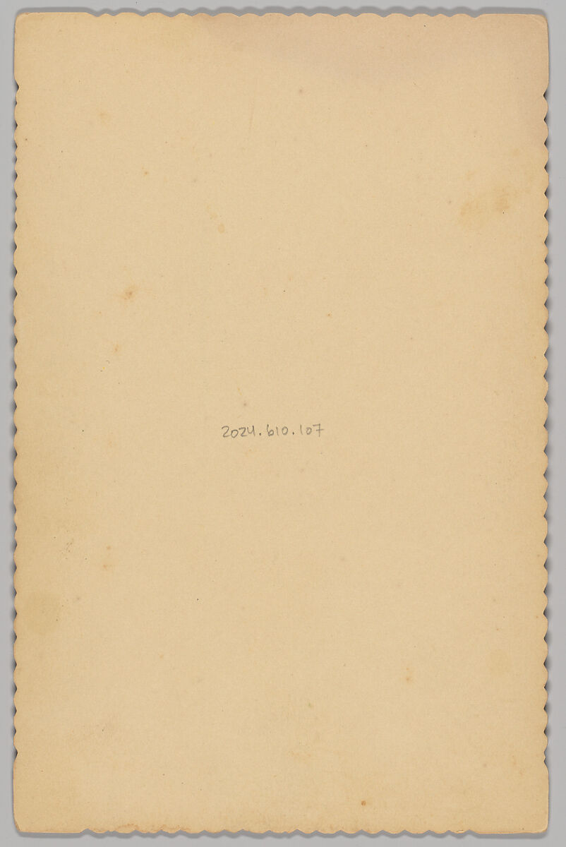 [Merchants' Carnival Portrait: Hamman & Son Dry Goods, Sabetha, Kansas], Maynard (American, active 1880s–90s), Albumen silver print