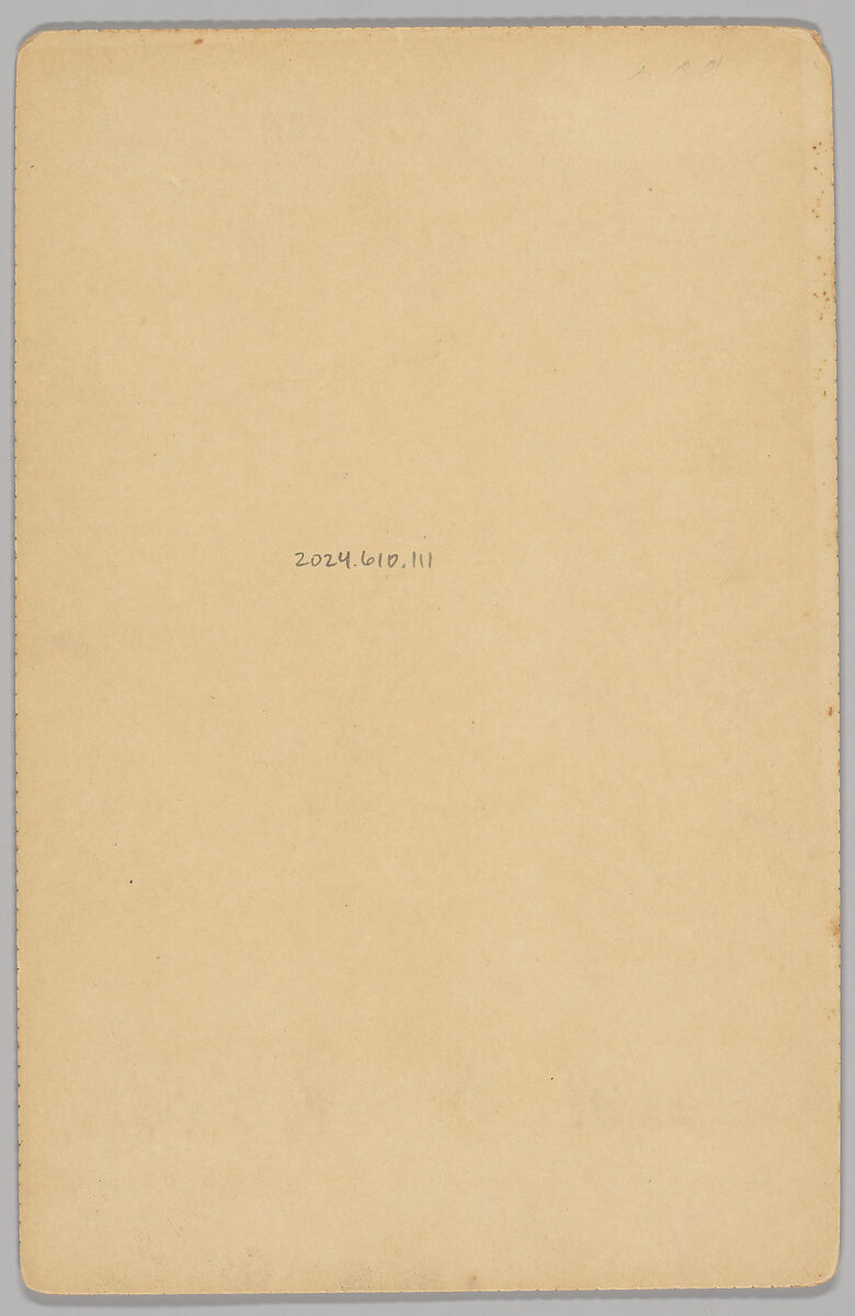 [Merchants' Carnival Portrait: Rochester For Clothing, Garrettsville, Ohio], R. J. Langston (American, active 1880s–90s), Gelatin silver print