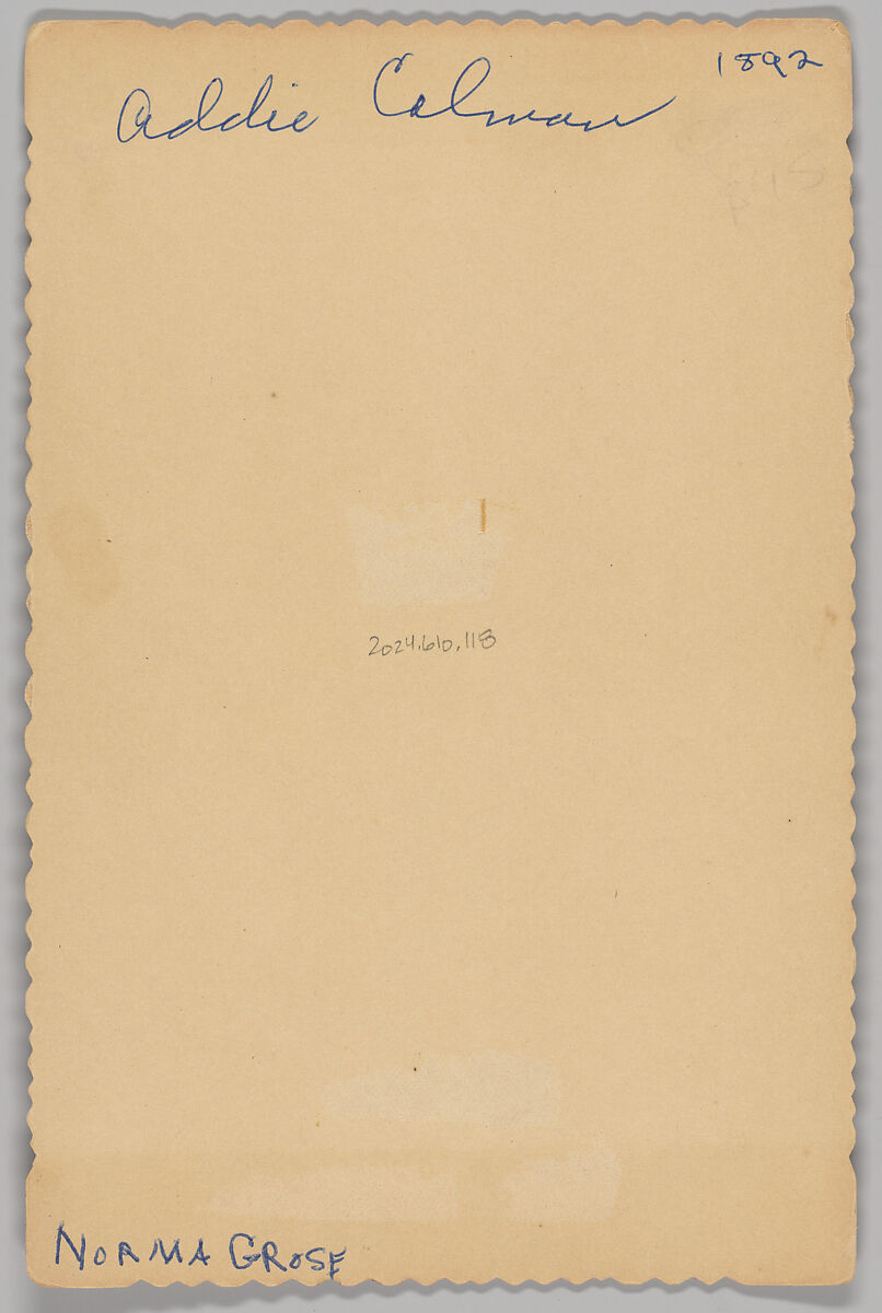 [Merchants' Carnival Portrait: Sutcliffe and Hazeltine, Mazomanie, Wisconsin], W. W. Burchell (American, active 1890s–1900s), Albumen silver print