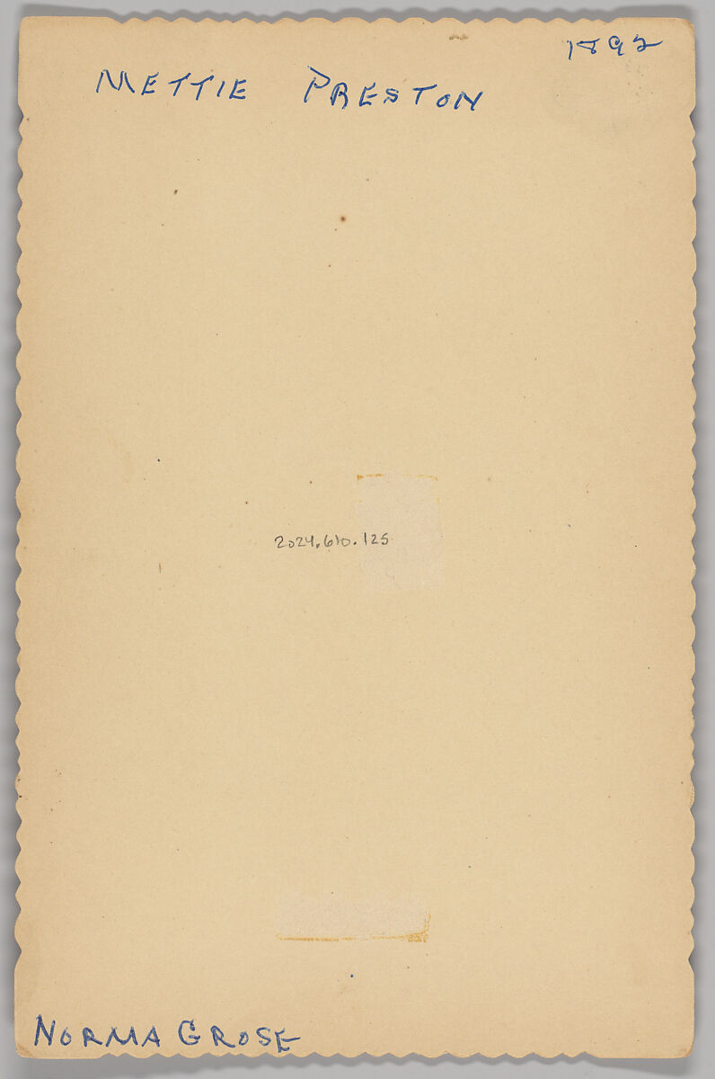 [Merchants' Carnival Portrait:  A. Preston and Sons, Mazomanie, Wisconsin], W. W. Burchell (American, active 1890s–1900s), Albumen silver print