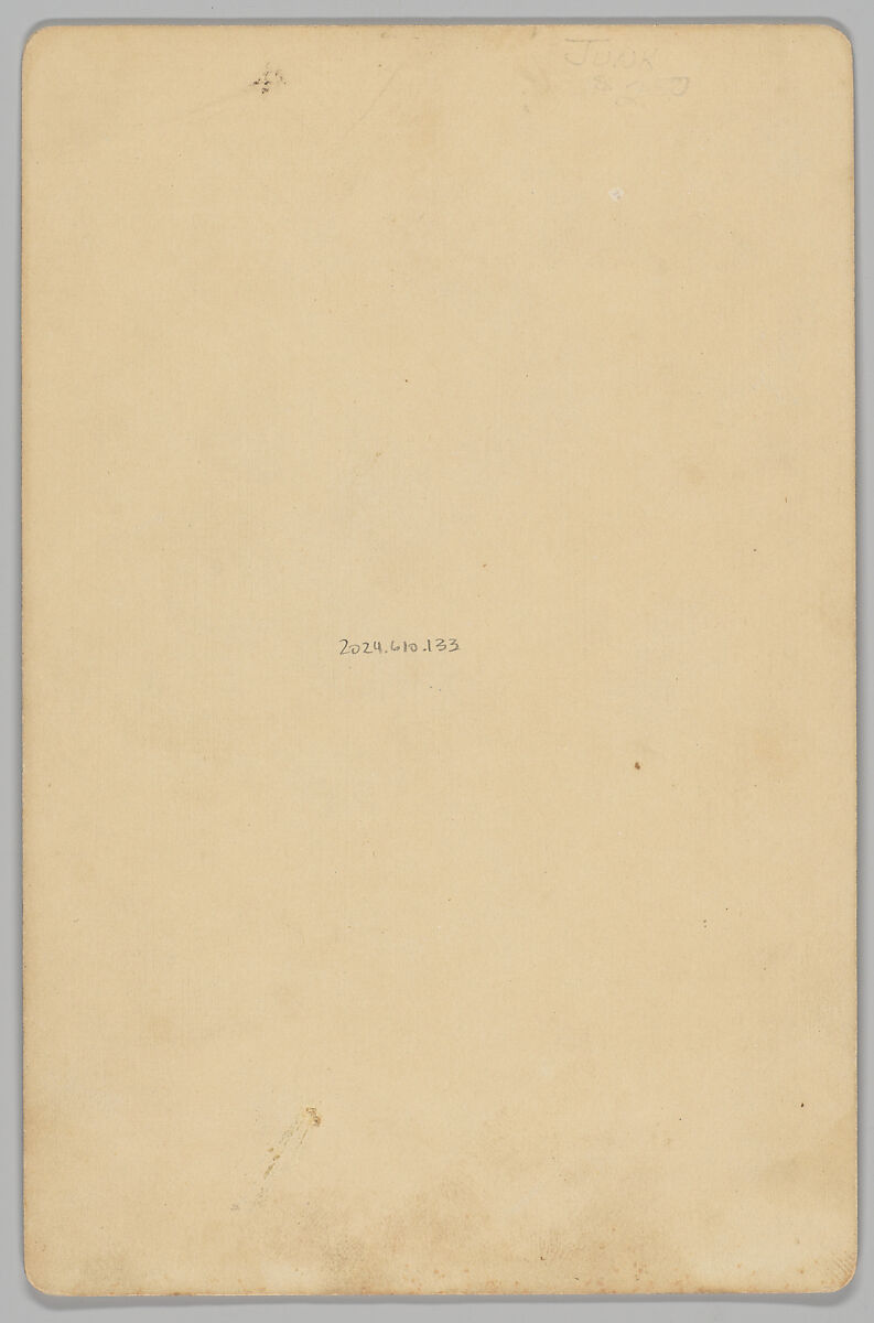 [Merchants' Carnival Portrait: G. A. Malmgren Druggist, Escanaba and Iron Mountain, Michigan], Adolphus Van Sickle (American, 1835–1905), Albumen silver print